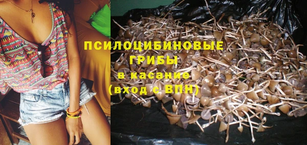 мдпв Усинск