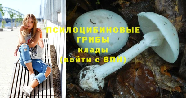 крисы Краснослободск