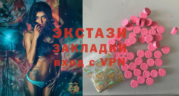 крисы Краснослободск