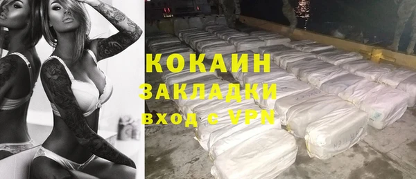 соль ск Кукмор