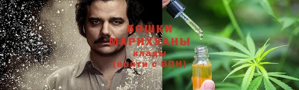 крисы Краснослободск